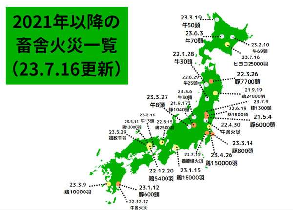 鶏むね肉が最高値　国産の平均卸値は前年比54.6％高　ももとの価格差が縮小
