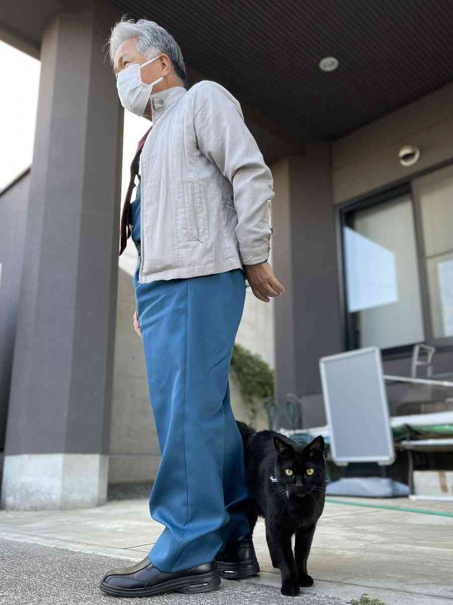 尾道市美術館に入りたい猫「ケンちゃん」の訃報に「ありがとう」の声…みなさんとケンちゃんの思い出や写真が集まる