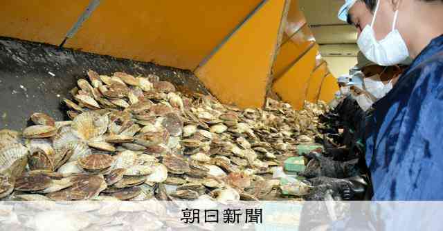 ホタテ業者、「お得意様」中国の禁輸でリスク分散　再開でも慎重姿勢：朝日新聞