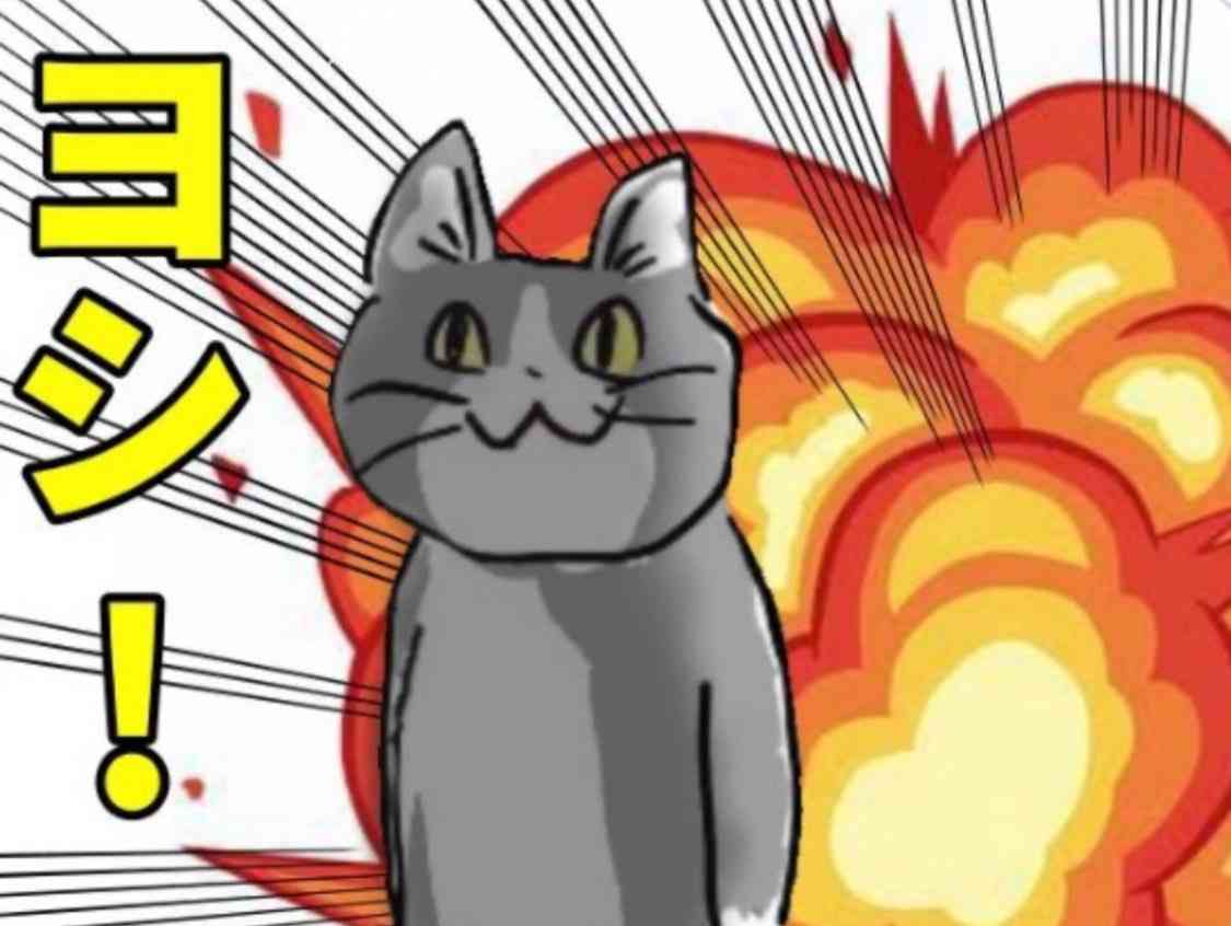 現場猫を見て癒されたい!Part9