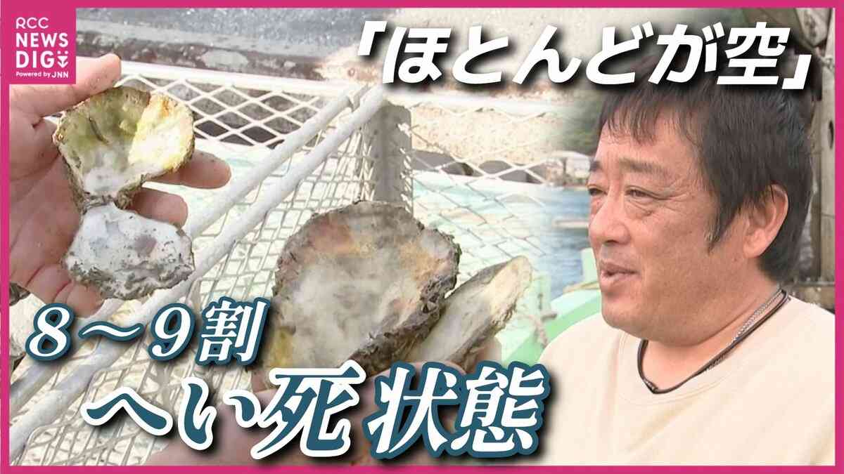 「8～9割が死んだ」広島・呉の牡蠣に深刻な異変　原因不明の「へい死」が養殖業者を襲い出荷困難に ふるさと納税の返礼品も一時停止 | TBS NEWS DIG