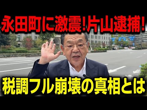 【衝撃】永田町が騒然！片山さつき大臣が緊急逮捕…税調崩壊の裏に隠された“黒い真実”！