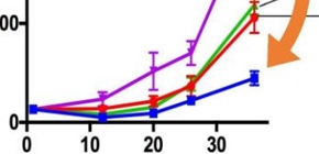 Medication that treats parasite infection also has anti-cancer effect - ResOU