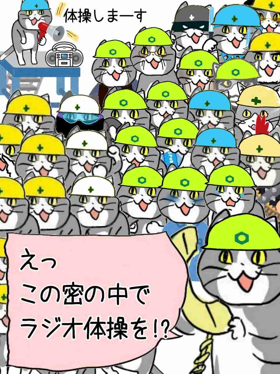 現場猫を見て癒されたい!Part9