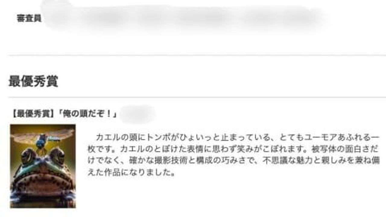 写真の授賞取り消し AI画像と指摘 - Yahoo!ニュース