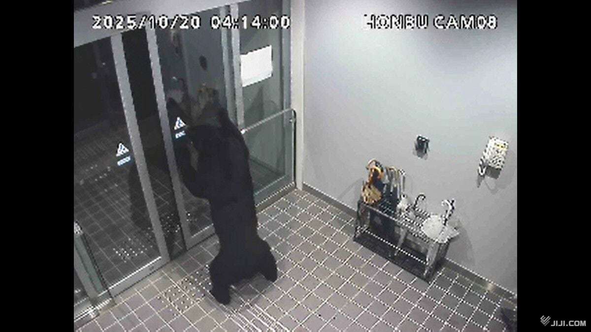 クマ対応、疲労深刻　「時間問わず、休日も作業」―箱わな不足も問題化・秋田：時事ドットコム