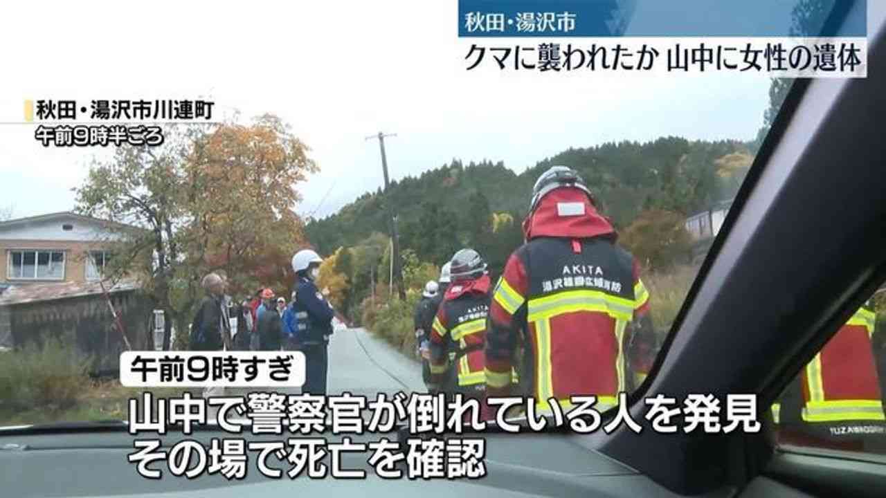 山中に女性遺体 クマに襲われたか - Yahoo!ニュース
