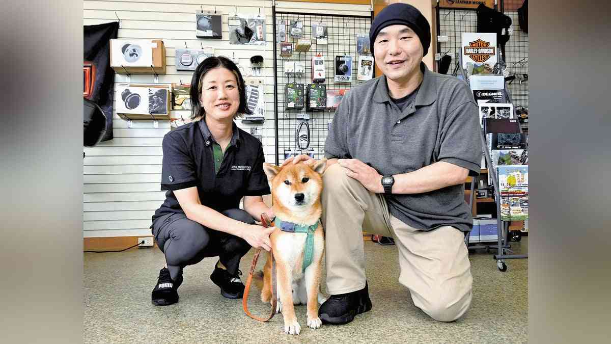 出雲大社の池でもがく迷子犬、見かけた新聞配達員が飛び込み救出…チラシ１０００枚配った飼い主「思いが神様に届いた」 : 読売新聞