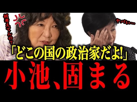 【片山さつき】※小池百合子、片山大臣を敵に回す…【佐藤沙織里 消費税 東京都議会本会議】