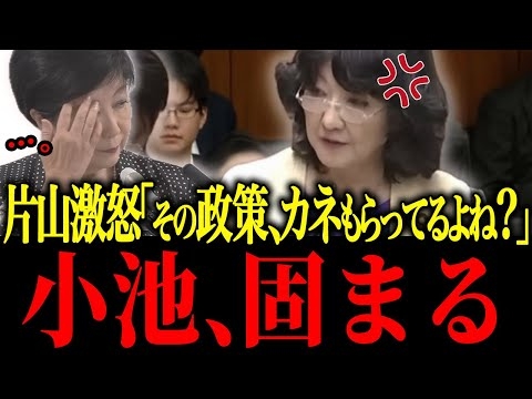 【さとうさおり】※遂に小池のトンデモナイ政策が片山さつき切り込まれ政治家生命終了【佐藤沙織里 消費税 東京都議会本会議】