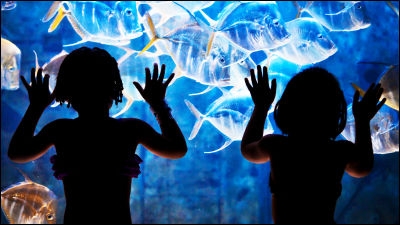 長男・長女が優れた成績を残しやすい理由かもしれない6つの理論 - GIGAZINE