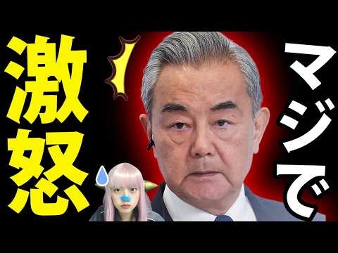 【修羅場】中国王毅氏激怒！高市総理はG20で中国フル無視！立憲 野田佳彦と朝日新聞の国際問題勃発！？