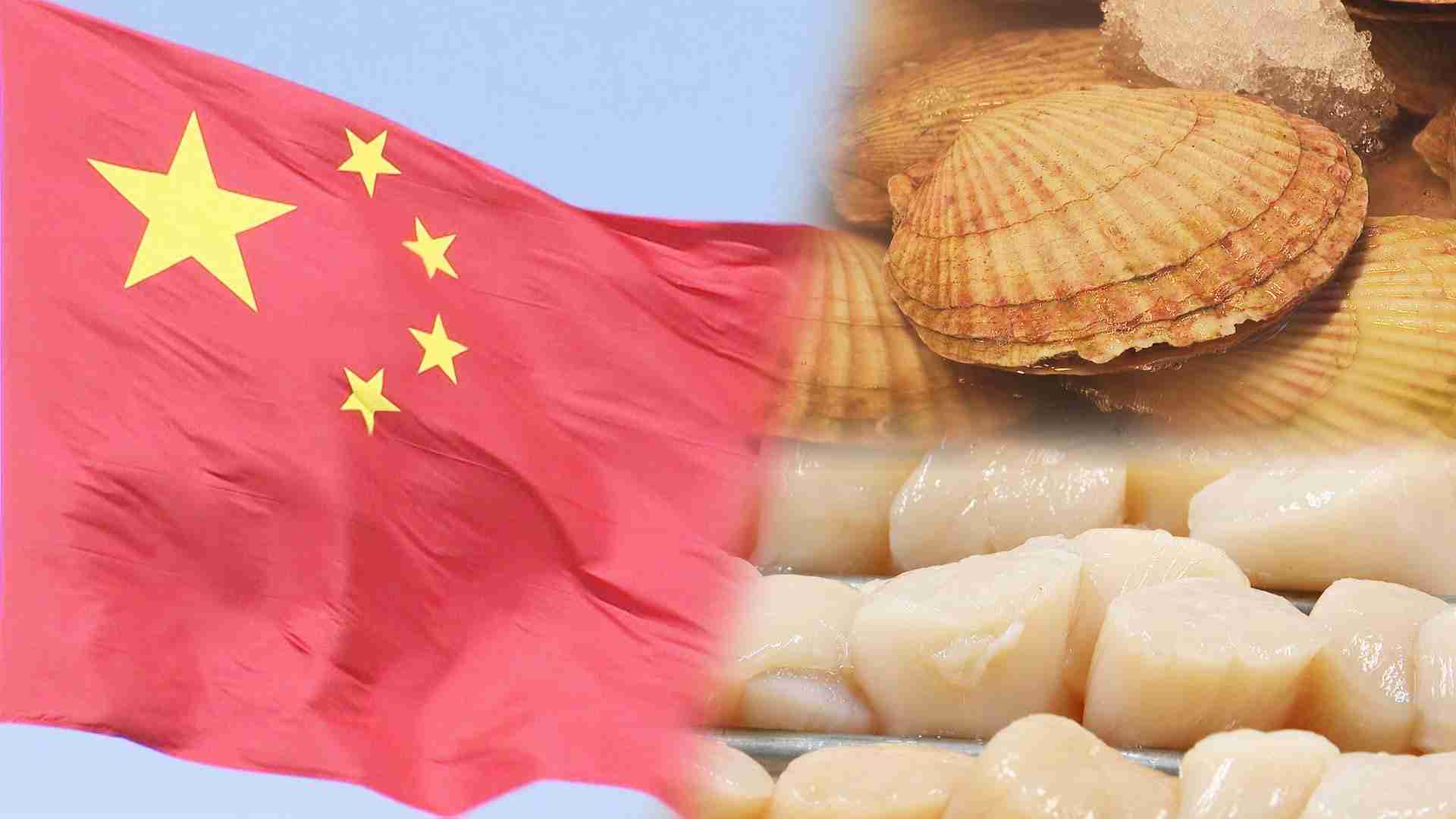 ホタテ業者が嘆き「完全に逆戻り」【日本産水産物の事実上輸入停止】中国への依存度を見直す決断「同じように戻そうとは思わない」（HBCニュース北海道） - Yahoo!ニュース