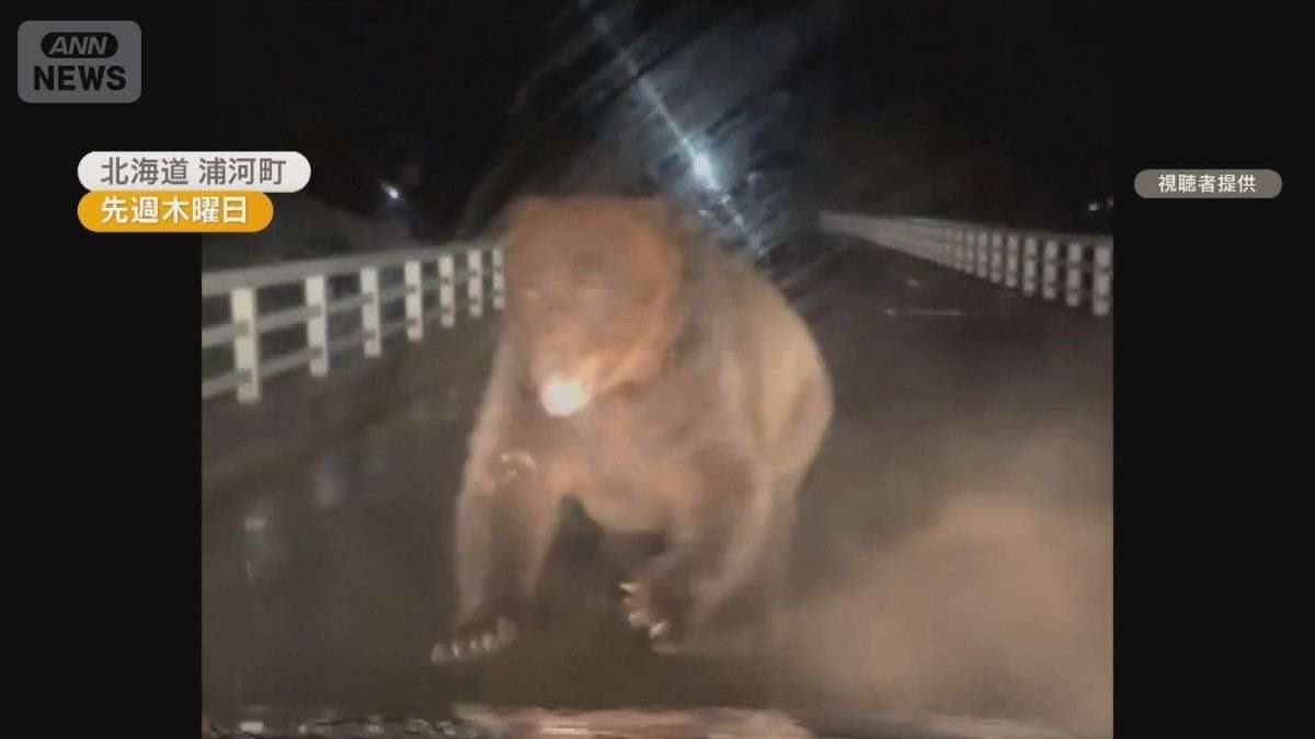 北斗晶　クマ被害で「ずっと一緒にやってきた」友人が死去　生放送で悲痛訴え「こんな被害が出る前に」