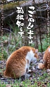 孤独から抜け出した人