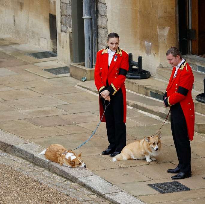 エリザベス女王のコーギーたち、その後の様子は？
