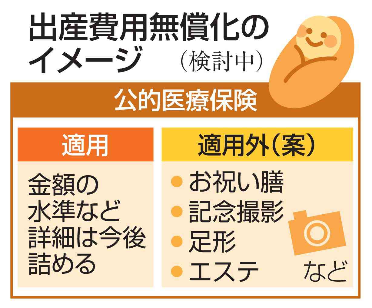 出産無償化に保険新枠組み創設へ 厚労省調整、法改正