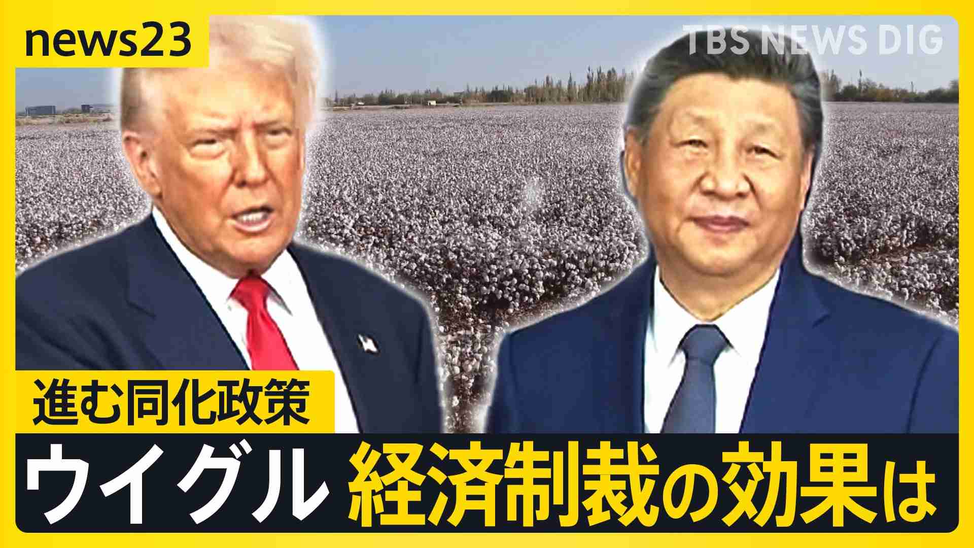 米中対立の陰で…忘れられたウイグル問題　進む「同化政策」モスクは壊され、漢族と「親戚」に【news23】（TBS NEWS DIG Powered by JNN） - Yahoo!ニュース