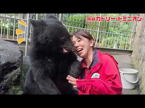 赤ちゃんから育てた熊とお別れの挨拶をする飼育員がすごい…