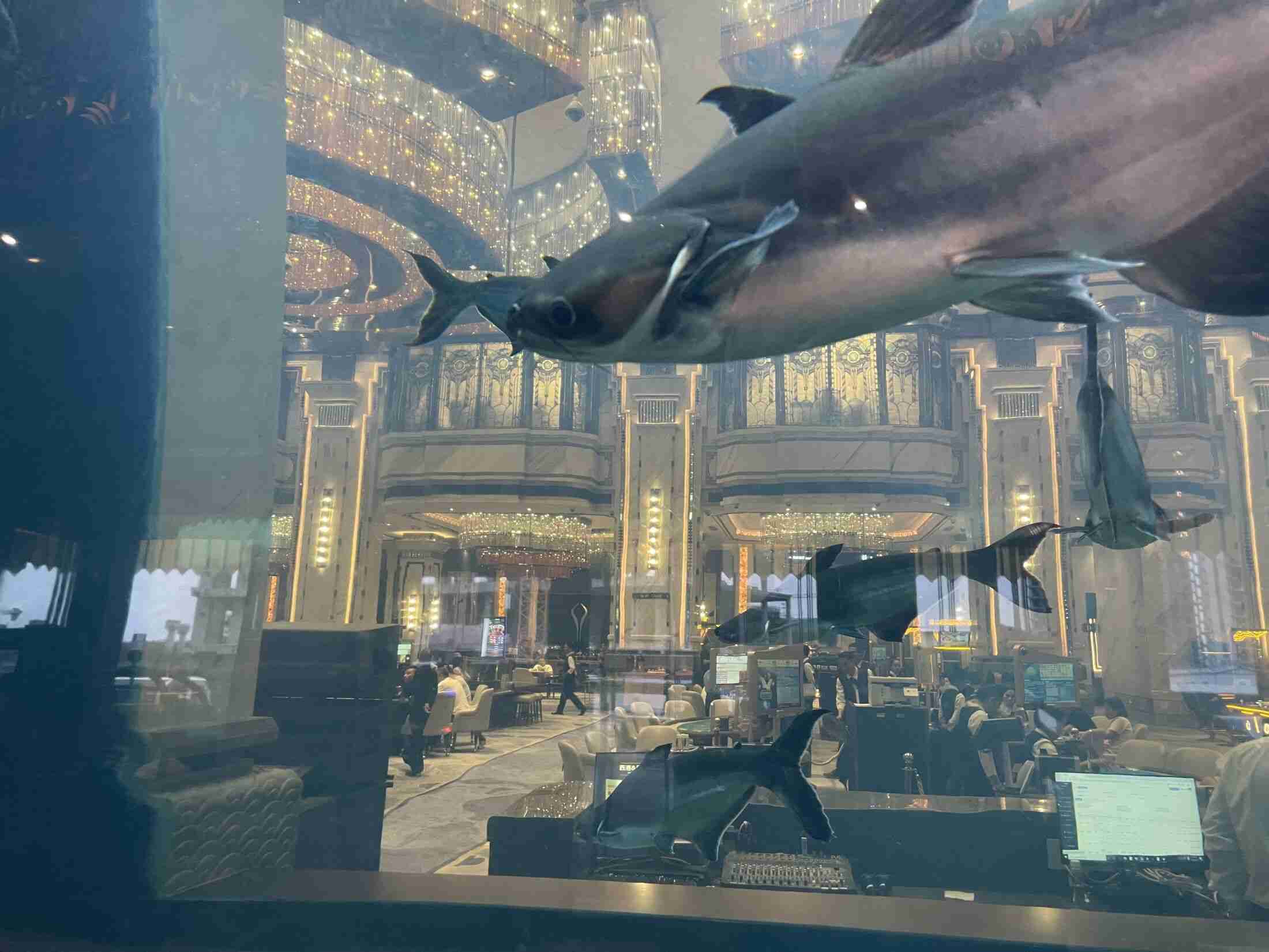 カンボジアで「国家まるごと乗っ取り」中華詐欺グループに国際制裁…“習近平政権とズブズブ”な38歳経営者の謎めいた正体（文春オンライン） - Yahoo!ニュース