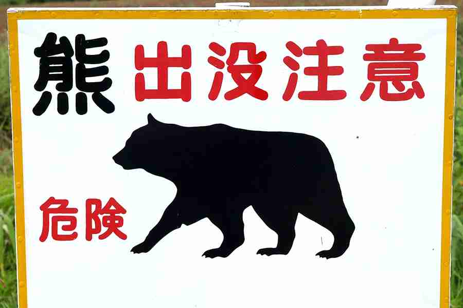 ドローンAIでクマを撃退…政府識者が語るクマ対策の最前線　
