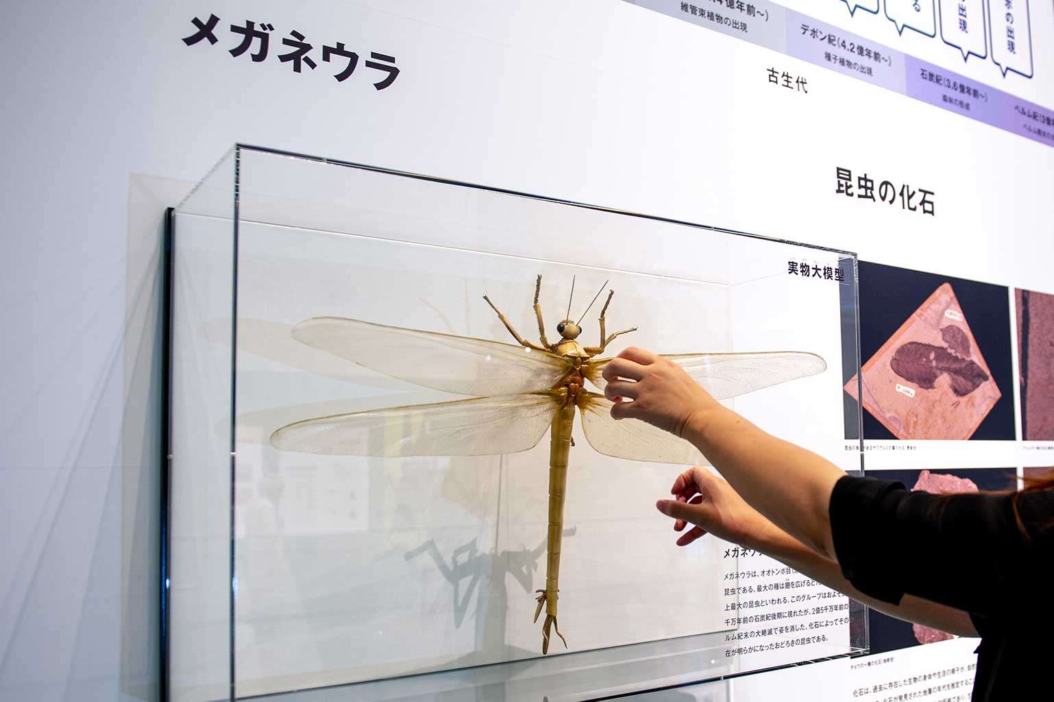【閲覧注意】巨大生物を語るトピ