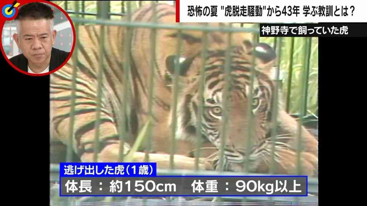 虎脱走騒動で小さな集落が大混乱 あれから43年…関係者証言に学ぶ教訓