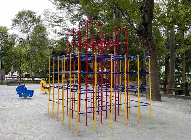 「タコ山」「箱型ブランコ」の次はジャングルジム？　姿消す公園遊具