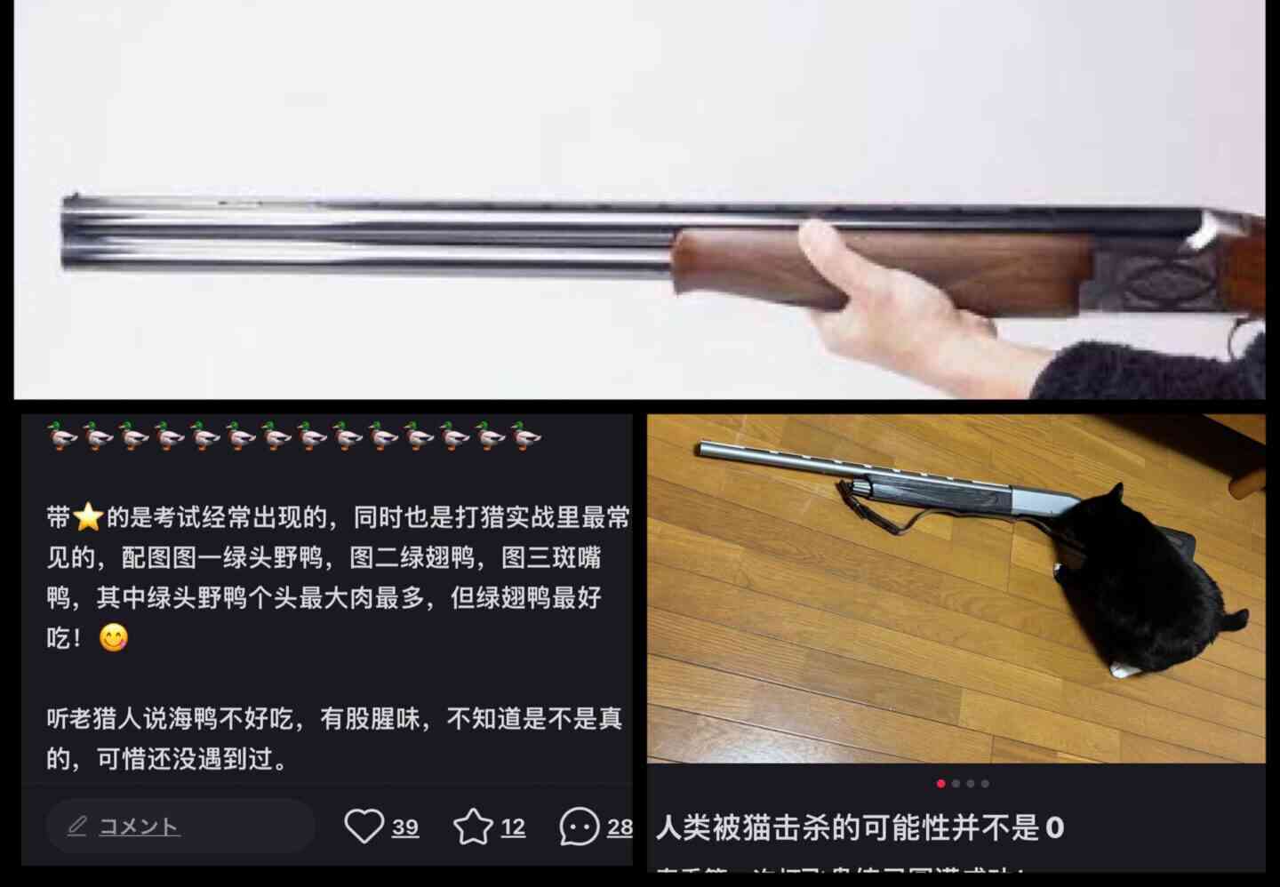 【悲報】日本で狩猟免許取得の中国人「必見です！狩猟試験の重要ポイントをお伝えします」中国語で拡散中 - jnnavi