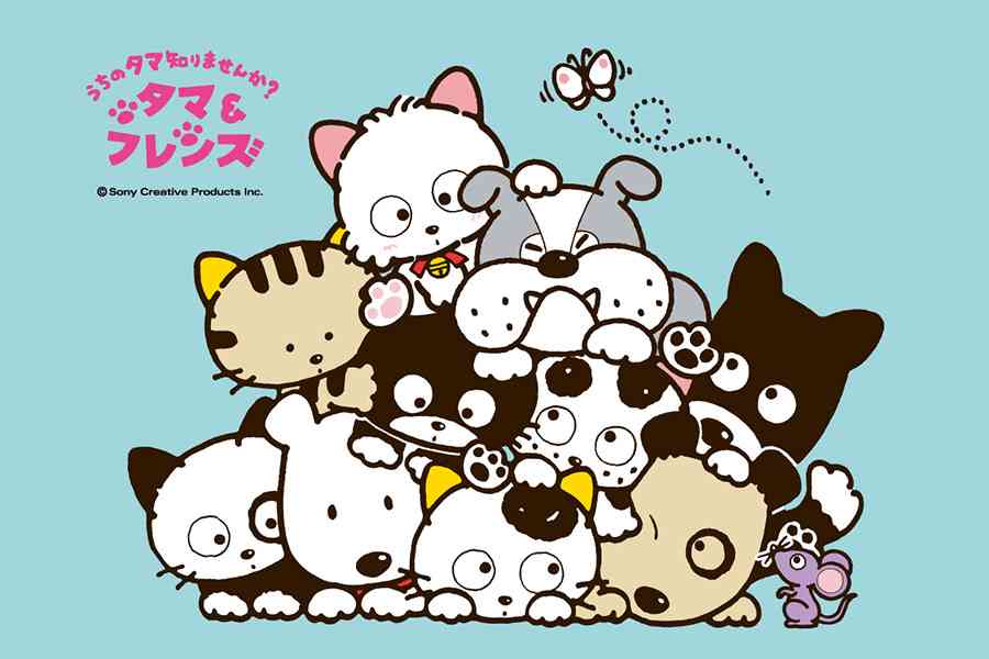 「うちのタマ知りませんか？」について語ろう part3