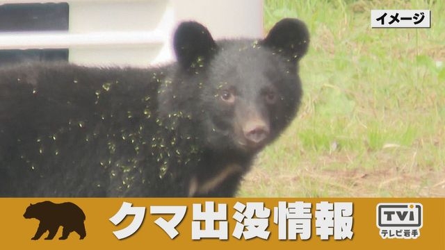 クマに襲われたか　飼い犬被害　岩手県軽米町（テレビ岩手ニュース） - Yahoo!ニュース