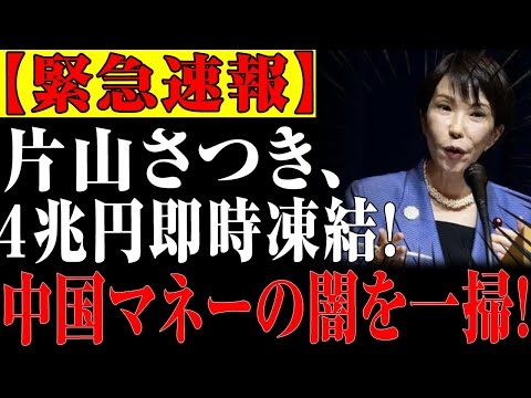 【金融粛清】片山さつき、中国系資金４兆円を即時凍結！１８分野で中国との金融取引を全面遮断！【ゆっくり解説】