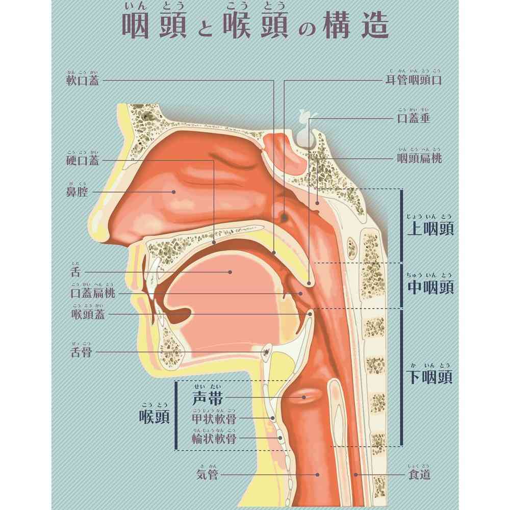 自分には効かなかった市販薬