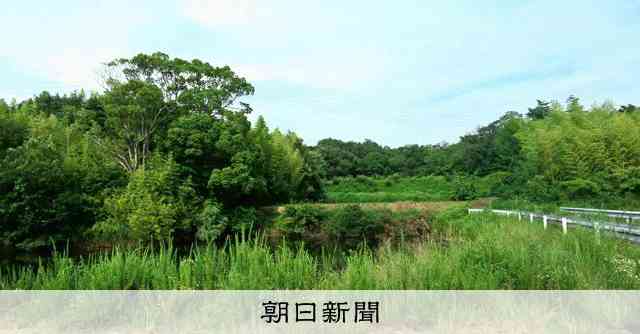 6歳児スーツケース遺棄事件　母が起訴内容認め、叔母2人は無罪主張 [兵庫県]：朝日新聞