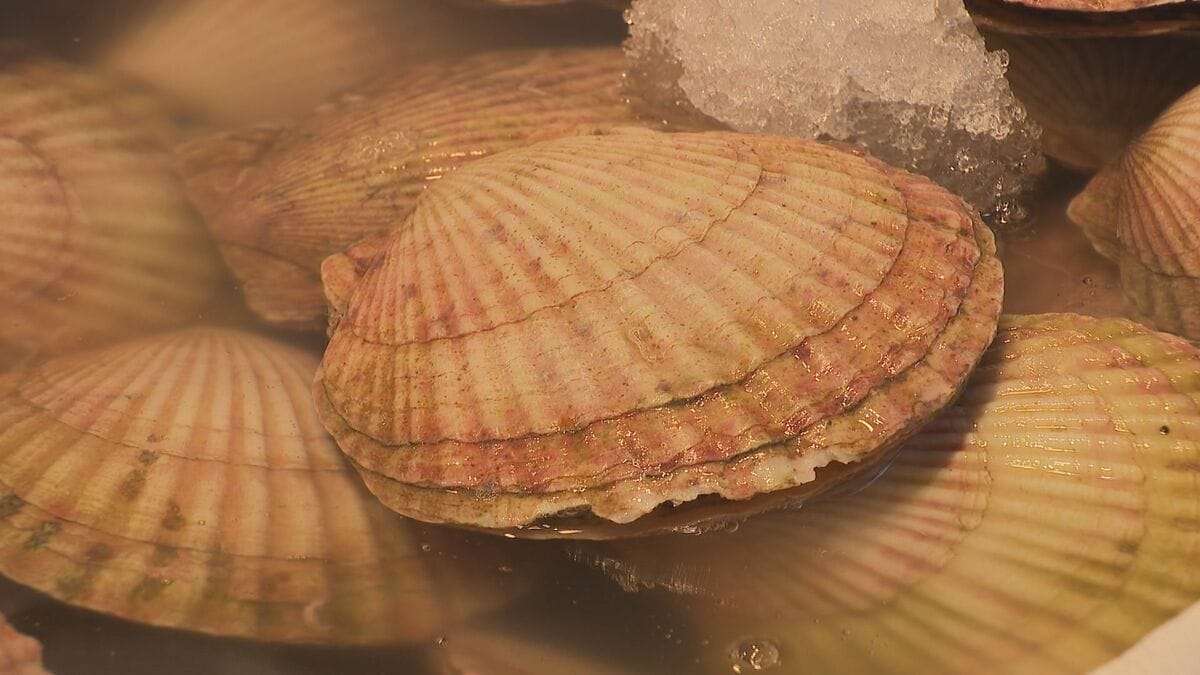 中国が日本産水産物を事実上輸入停止「ビクビクしながら…」北海道の水産業者からは落胆の声　約2年ぶりに中国への出荷が再開されたばかり | TBS NEWS DIG