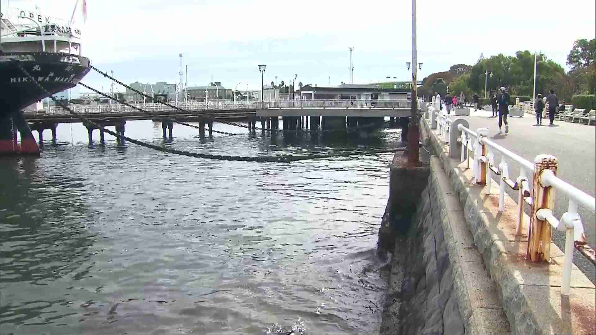 山下公園近くの海中から“頭部と下半身のない遺体”発見…20代〜50代ぐらいの女性か　死因不明で数カ月以内に死亡したか　神奈川・横浜市（FNNプライムオンライン） - Yahoo!ニュース