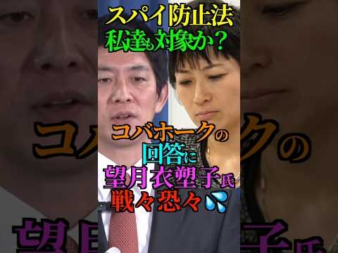 【スパイ防止法】私達も対象か？ コバホークの回答に 望月衣塑子氏 戦々恐々? #高市早苗 #小林鷹之 #コバホーク #望月衣塑子 #スパイ防止法　#Shorts #ショート