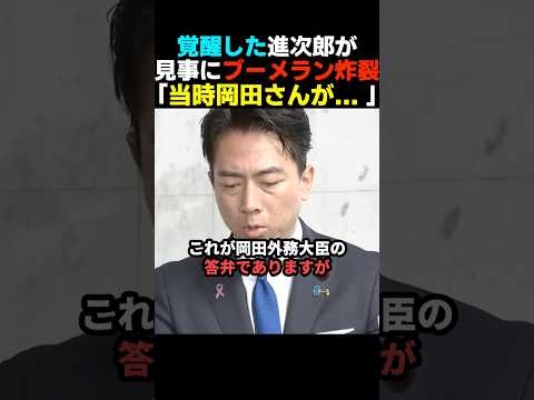 【強い】立憲岡田克也にブーメランを炸裂する小泉進次郎【自民党/高市早苗】