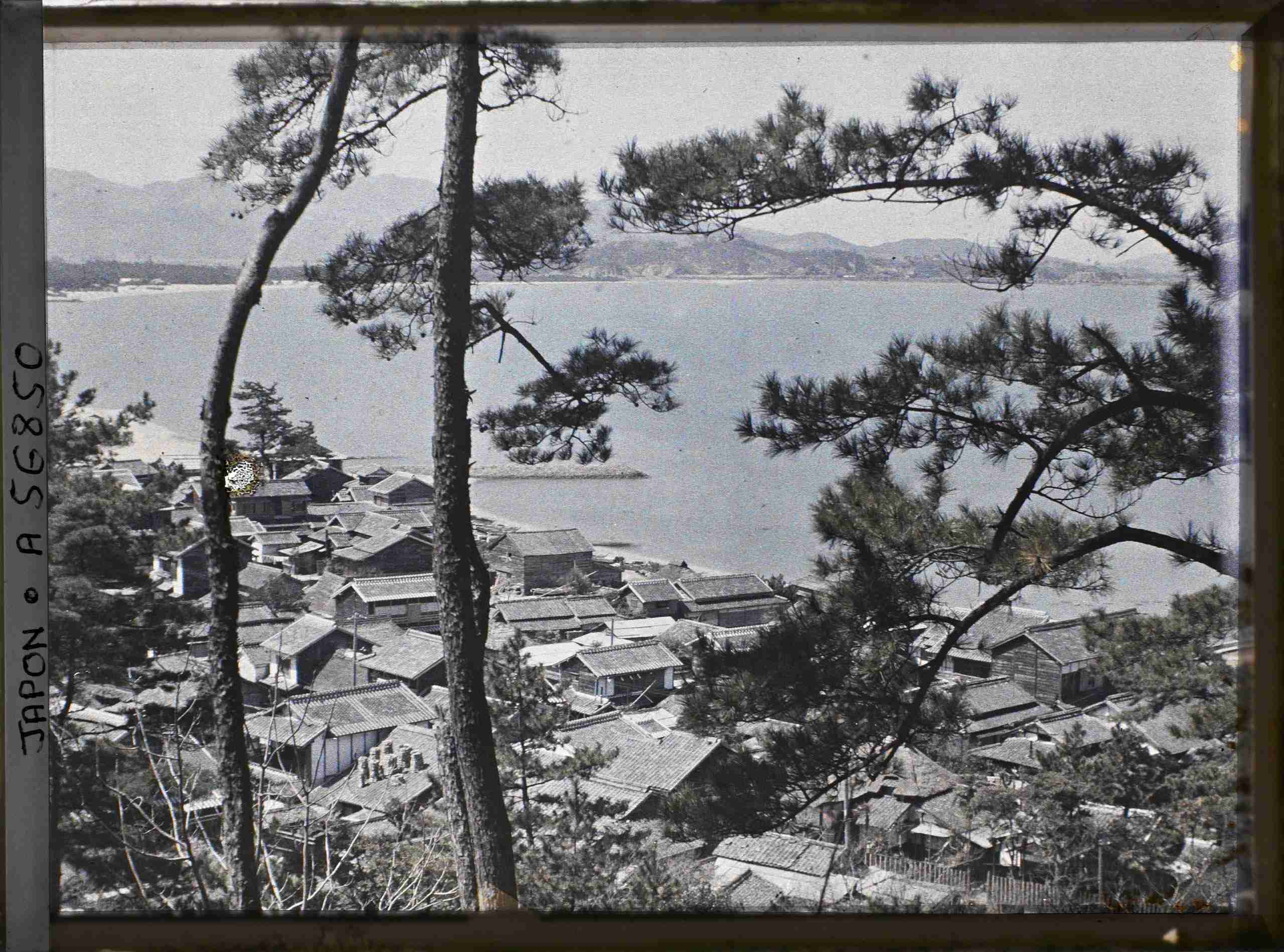 もし日本本土が戦争に巻き込まれたらどうしますか？