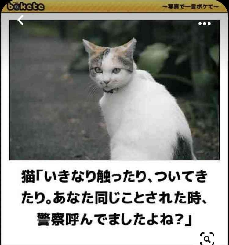 なぜ保存したのか分からない画像を貼っていくトピ