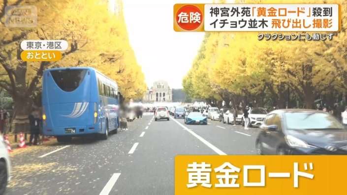 神宮外苑イチョウ並木の紅葉に観光客殺到　車道での危険な撮影相次ぎ混乱