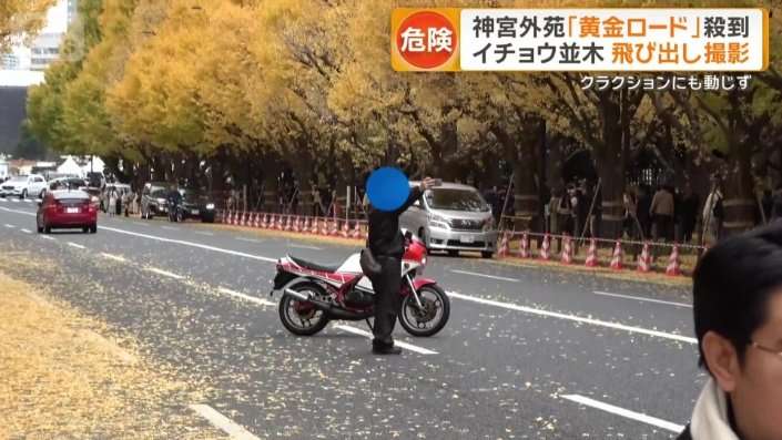 神宮外苑イチョウ並木の紅葉に観光客殺到　車道での危険な撮影相次ぎ混乱
