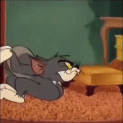 このGIFで笑ったことある人はプラス