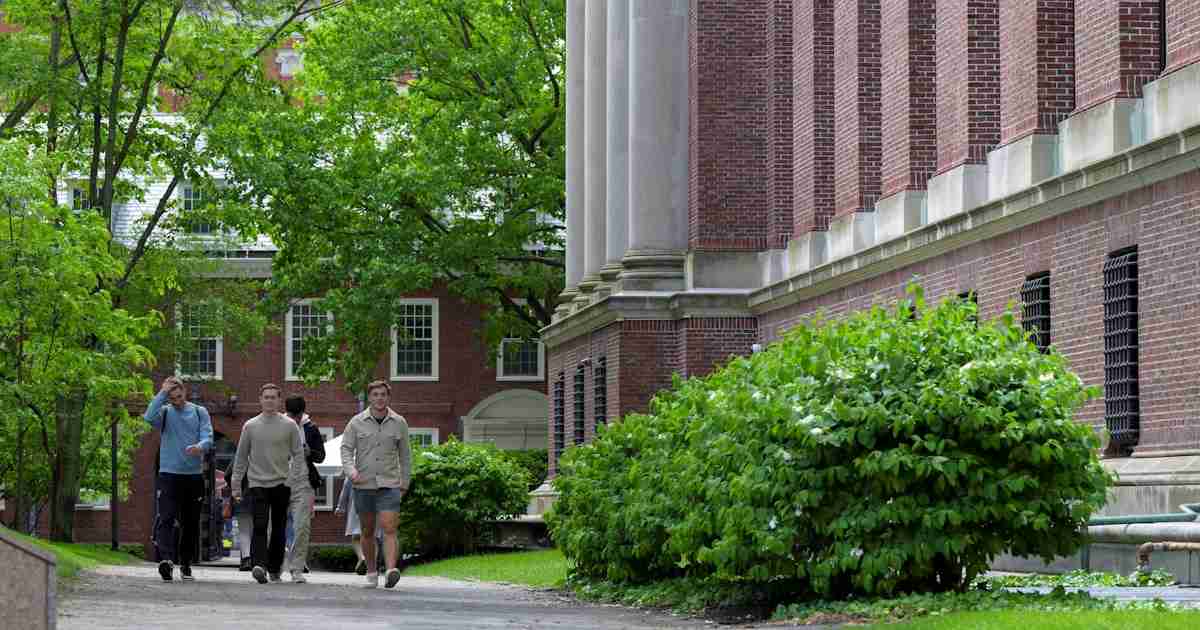 米国の大卒就職、26年はコロナ禍以降で最悪の見通し　AI導入が背景 - 日本経済新聞