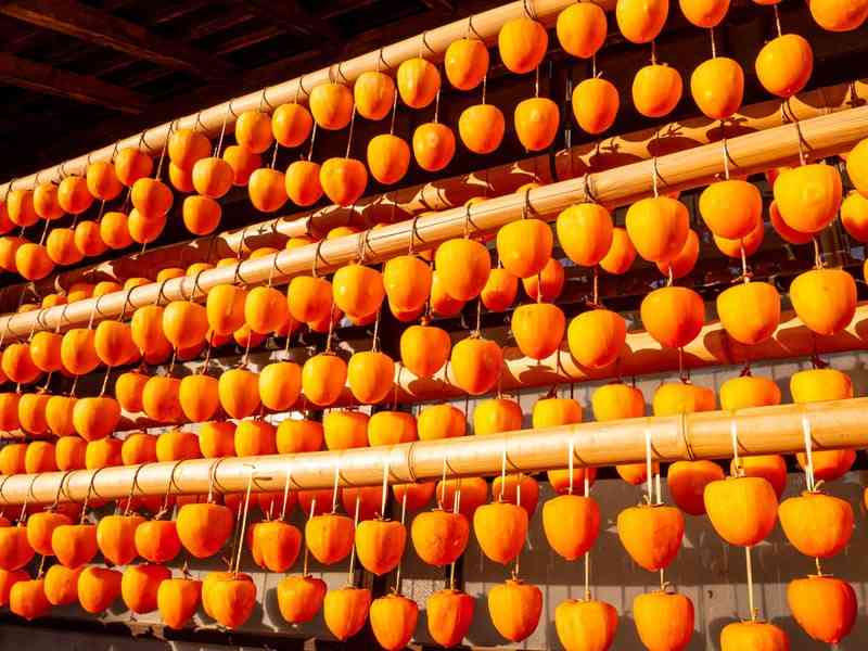 【野菜・果物・きのこなど】干すのが好きな方