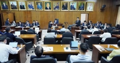 夫婦別姓「実現の動き止まった」　通称で自維合意、法案審議に影響