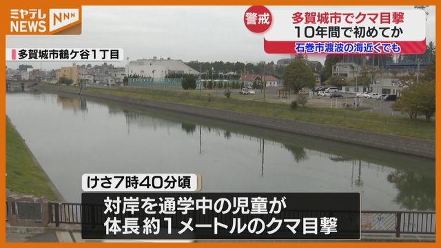 「考えられない、山なんてないから」河川敷でクマ1頭 目撃、多賀城市内でのクマ出没はここ10年間なし（宮城）（ミヤギテレビ） - Yahoo!ニュース