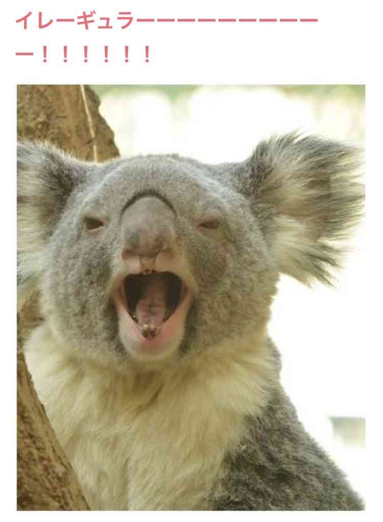 Official髭男dismが好きな人