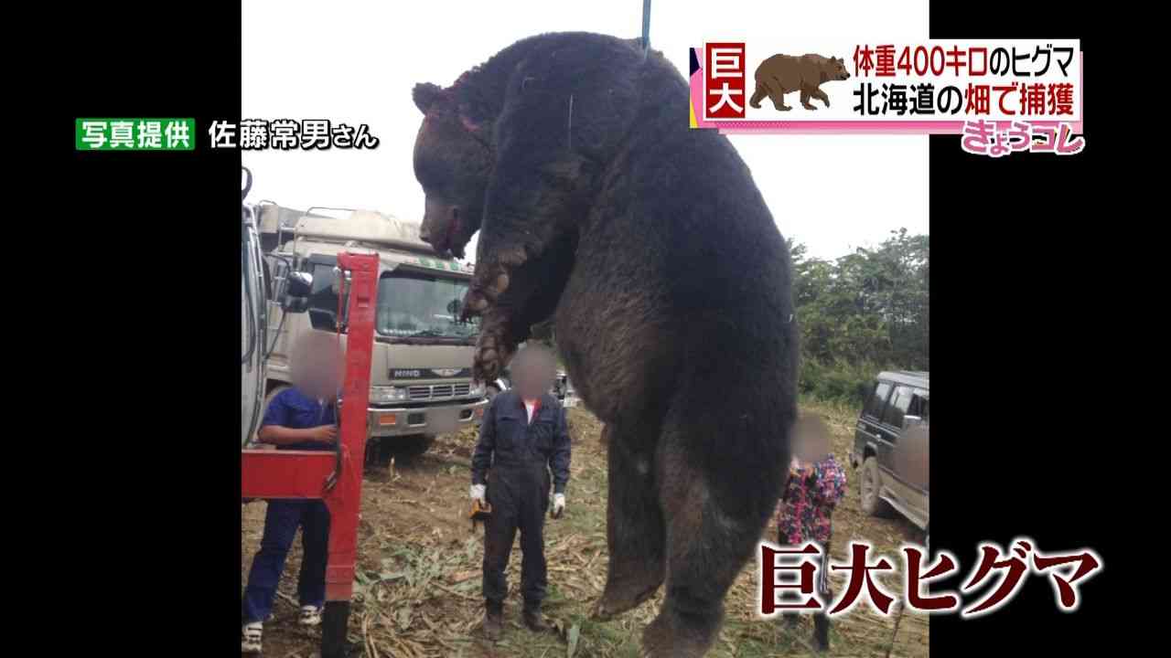 クマ被害続出も過熱する報道に現役猟師・東出昌大が語る「クマはそんな危ないもんじゃない」理由