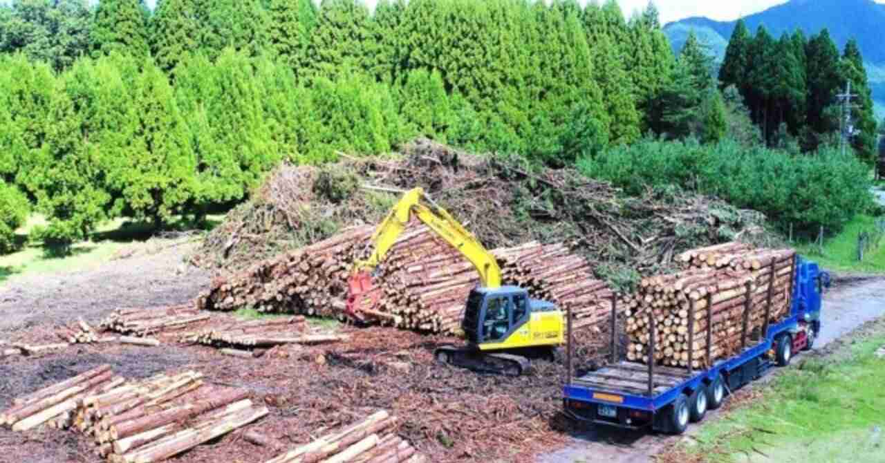 「分収増林事業の闇を斎藤知事が暴いて改革した」は誤り｜伊賀 治　デマ撲滅ファクトチェック集